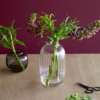 Holmegaard Primula vase